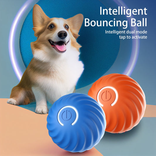 Pelota interactiva para perros