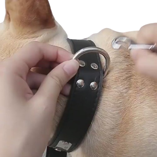 Correa retráctil para perros y gatos con sistema reflectante de colores.